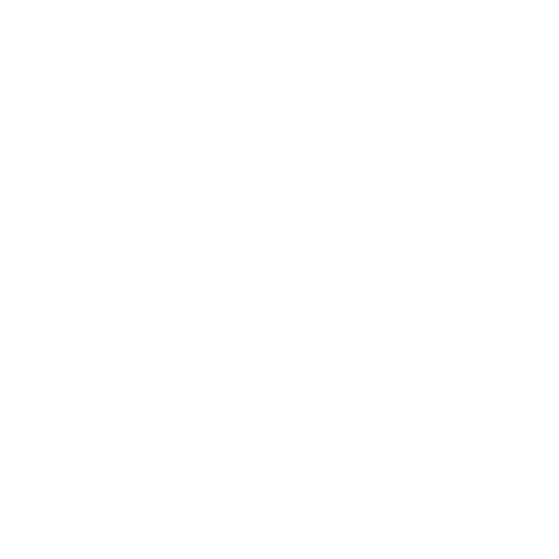 Brand 305